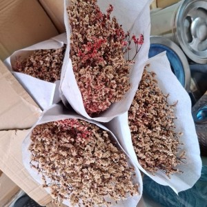 ضمة ورد جبسوفيل طبيعي مجفف مع مسكة ضمة ورد جبسوفيل طبيعي مجفف مع مسكة